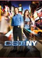 CSI：NY犯罪現場調查紐約篇第七季（現貨）